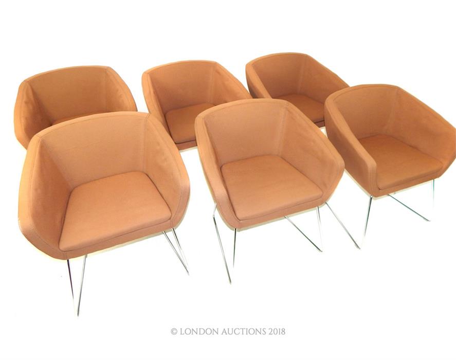 Set of six Italian designer Sitia chairs