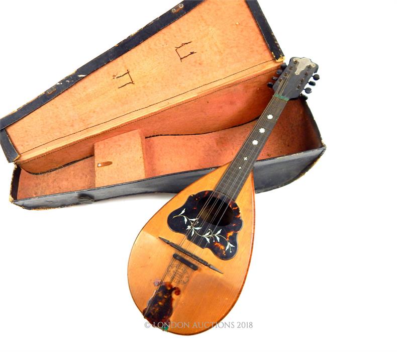 A 19th century, cased, mandolin in walnut and box-wood