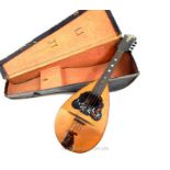 A 19th century, cased, mandolin in walnut and box-wood