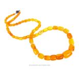 A graduated natural Baltic amber necklace