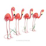 Four flamingos