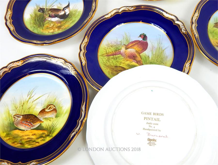 A set of six, Spode Game Bird, bone-china, hand-painted, bird plates - Image 3 of 3