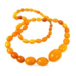 A graduated natural baltic amber necklace