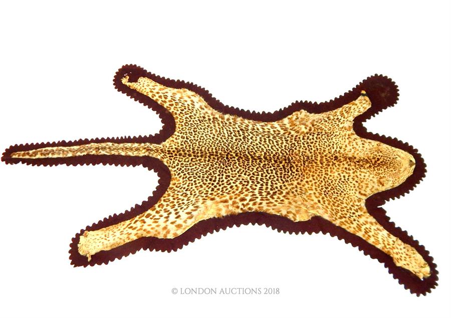 Leopard skin rug - Bild 2 aus 2