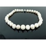 A string of large, creamy-white, freshwater pearls with a silver clasp