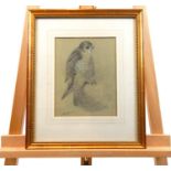 Philip Rickman (1891-1982), pencil portrait of a Peregrine Falcon