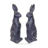 A pair of composite models of hares