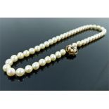 A boxed, strand of cultured pearls with a 9 ct rose gold, pearl and garnet clasp