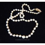 A cultured pearl necklace with 14 ct yellow gold clasp