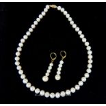 A Pearl necklace together with pearl earrings