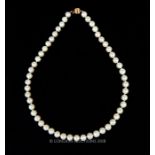 A South Sea pearl necklace