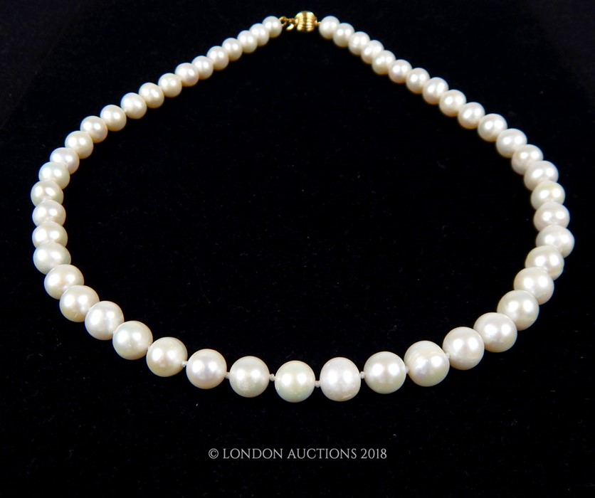 A South Sea pearl necklace - Image 2 of 3