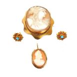 A 9 Carat Yellow Gold Mounted Cameo Brooch.