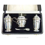 Solid Silver cruet set .