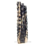 Fossil Bamboo, Micoene Epoch