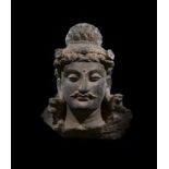 Gandhara Grey Schist Head