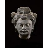 Grey Schist Gandhara Head