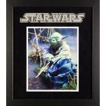 Framed Yoda Artist Series