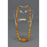 AN AMBER BEADED NECKLACE