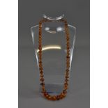 AN AMBER BEADED NECKLACE