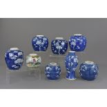 Seven Chinese 19/20th century blue and white porcelain ginger jars together with one blue and white