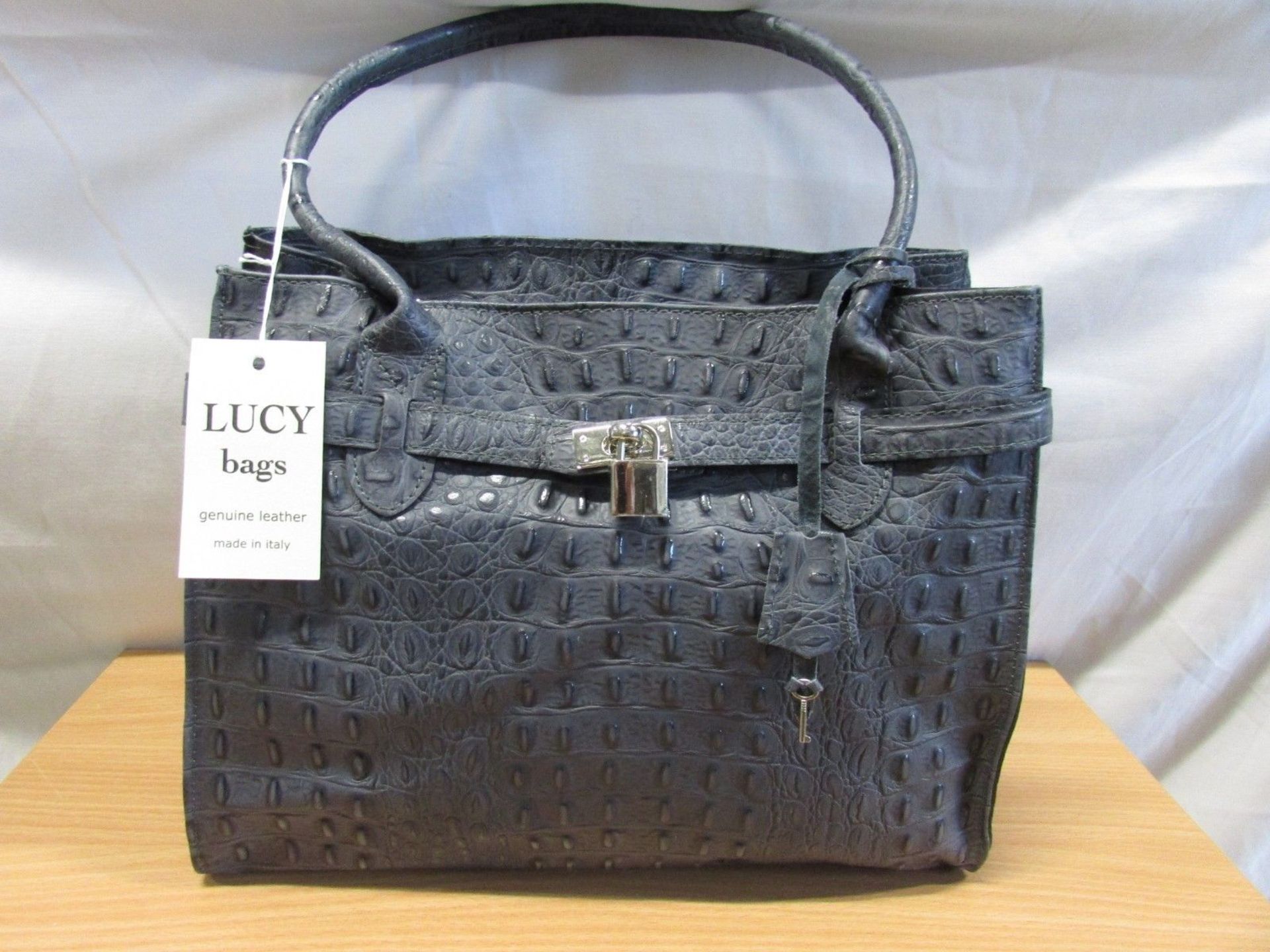 Lucy Bags Blue Crocodile Embossed Leather Bag (New With Tags) [Ref: Lucy-Mi-Tub 4-Mi]