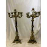 A large pair of French Empire style gilt six light candelabra.