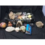 A good selection of fossils, rocks and polished stones.