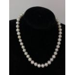 A well matched cultured pearl necklace, knotted and with silver clasp.