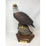 An AYNSLEY CHINA limited edition "1776-1976 Bald Eagle".