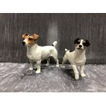 A Beswick ceramic Jack Russell terrier dog model no. 2023 and a similar Leonardo terrier.