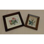 Two 19th Century and later framed and glazed botanical prints.