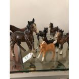 Seven Beswick foals.