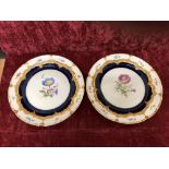 A pair of Meissen hand-painted wall hanging plates.