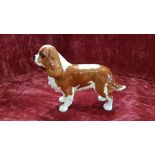 A Beswick standing King Charles Spaniel.