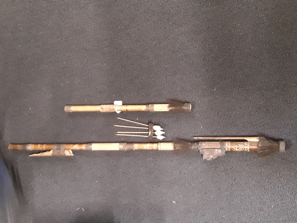 A South American bamboo blowpipe and darts.