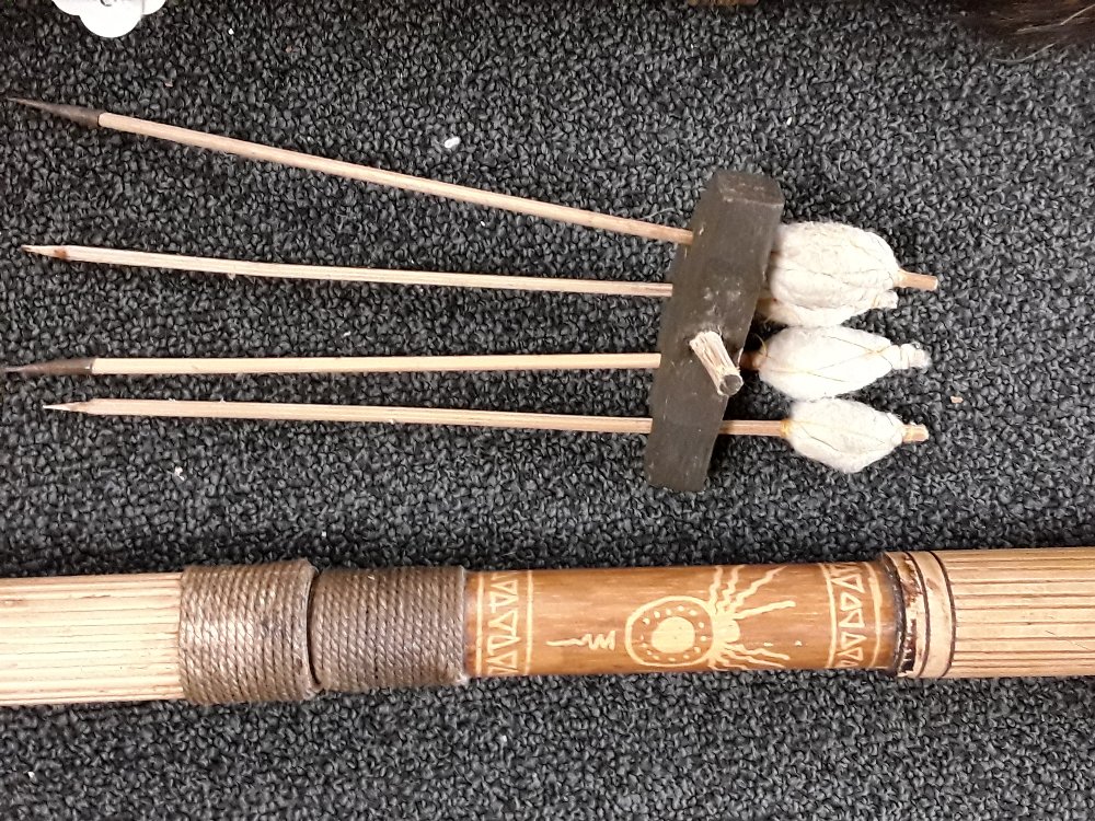 A South American bamboo blowpipe and darts. - Image 3 of 5