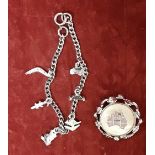 A white metal charm bracelet with six charms, plus a silver brooch.