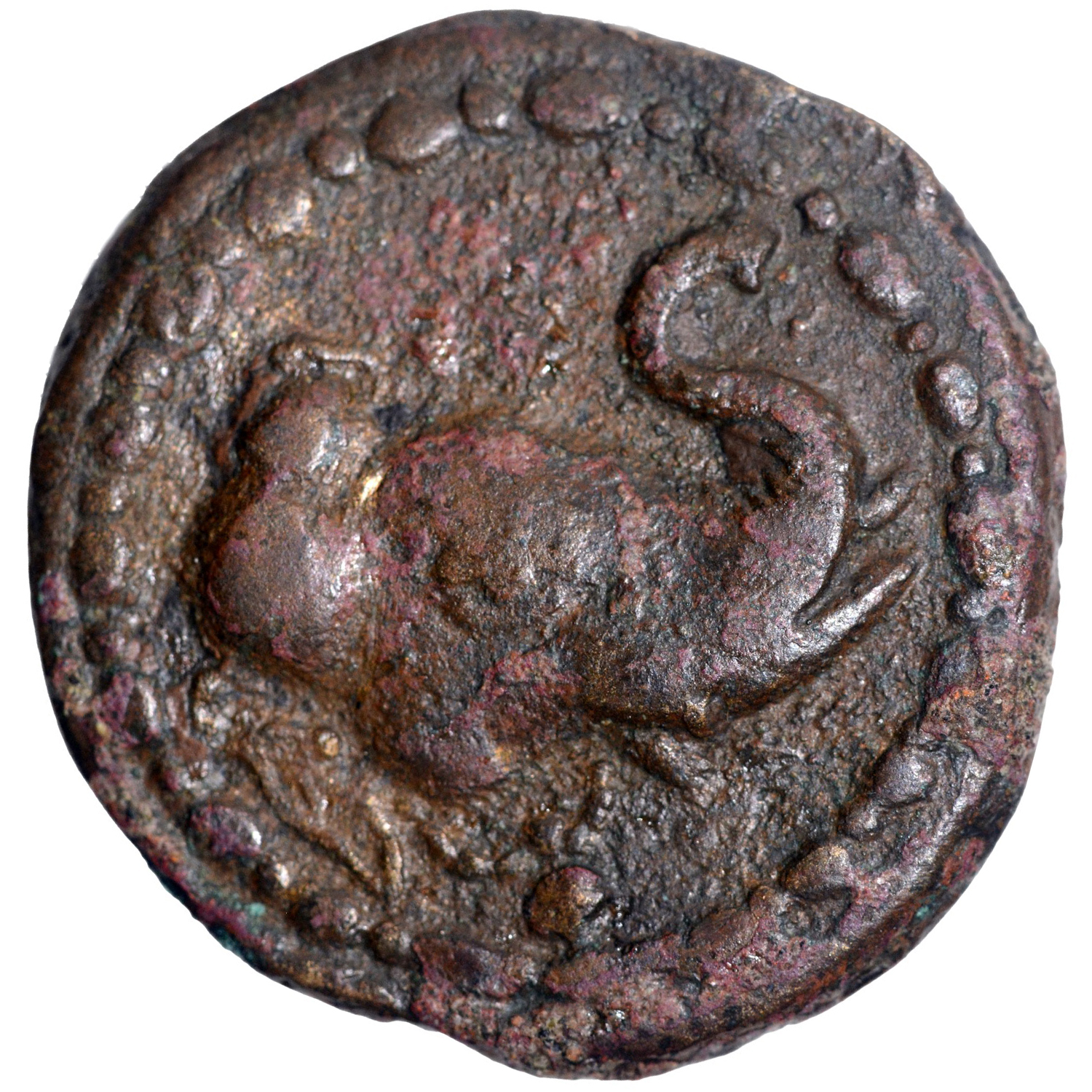 Indo Scythians, Maues (90-57 BC), Copper Hemi-Obol, Obv: head of elephant right, wearing bell,