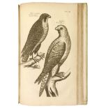 Willughby, Francis; John Ray (ed.). Ornithologiæ libri tres.