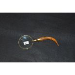 A Magnifying Glass