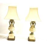 A Very Nice Pair of Hand Painted and Decorated Table Lamps and Shades