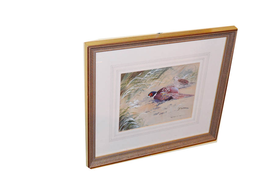 A Watercolour 'Pheasant' - Robert W Milliken