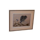 A Limited Edition Framed Print 'Elephant and Birds'
