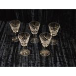 A Set of Five Waterford Crystal Wine Glasses