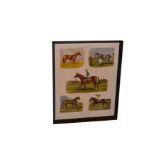 A Framed Collage 'The Five Greatest Ever Rode' - Lester Pickett