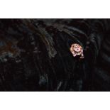A 9ct Gold Ruby and Diamond Leopard Ring