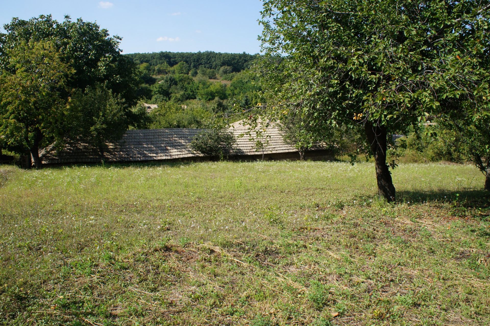 PROPERTY AND 1,770 SQM OF LAND IN POPOVO, BULGARIA - Image 45 of 48