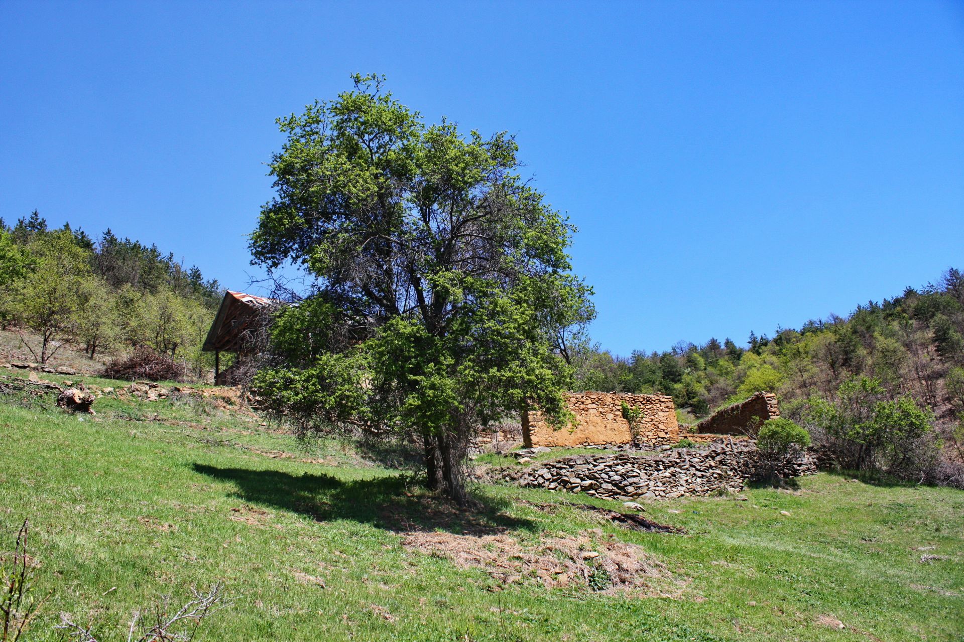 7.5 Acre Ranch in Bulgaria 1h from Sofia - Image 28 of 33