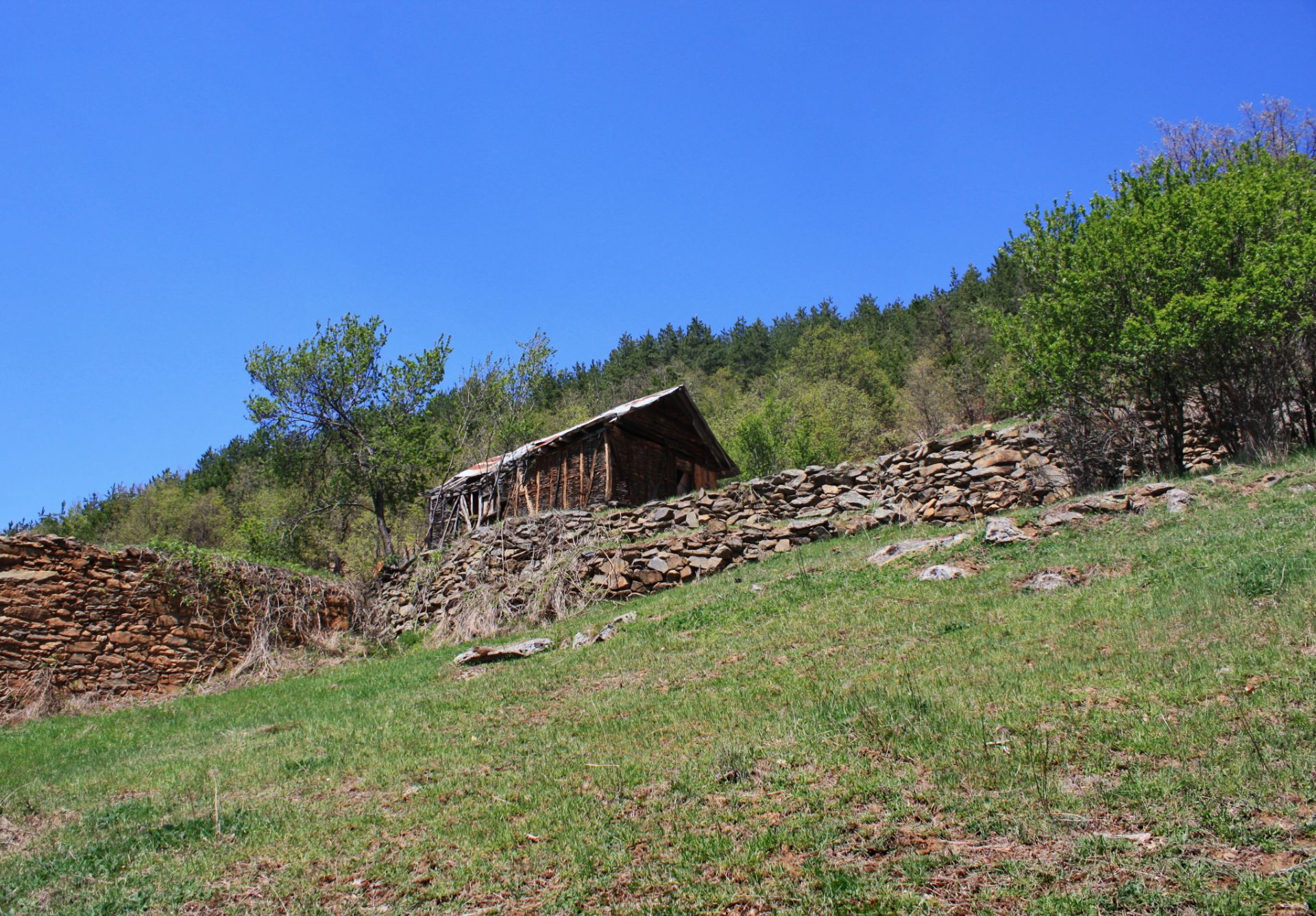 7.5 Acre Ranch in Bulgaria 1h from Sofia - Image 26 of 33